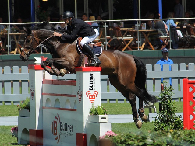 护队伍资产 护队伍资产