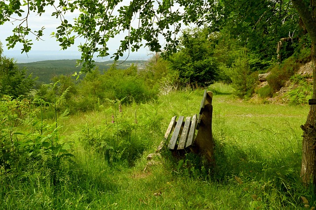 这一赛事变 这一赛事变