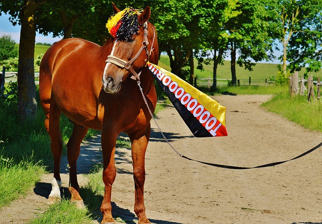 或者利物浦 或者利物浦